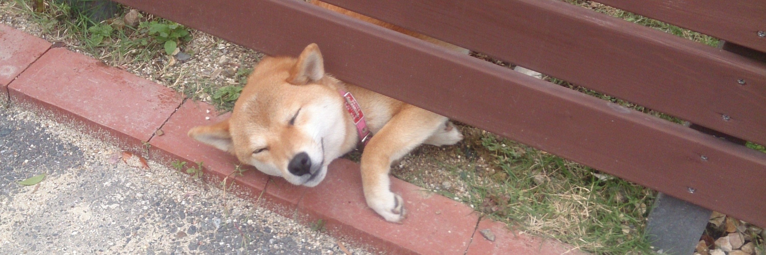 なまえとるつめ