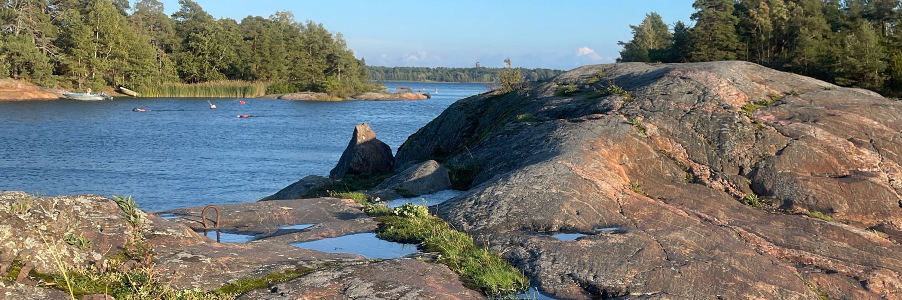 Minna Lehtipuu