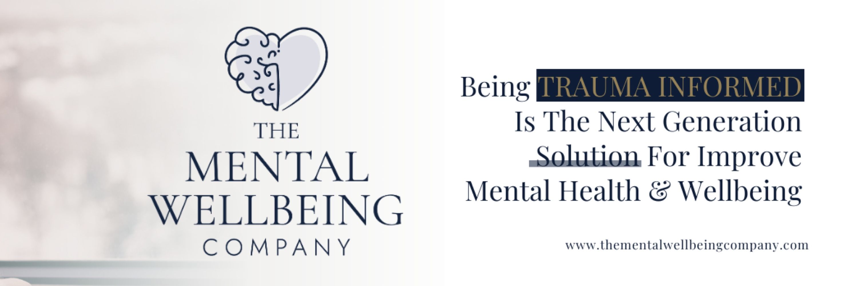 Amanda Pomeroy The Mental Wellbeing Company