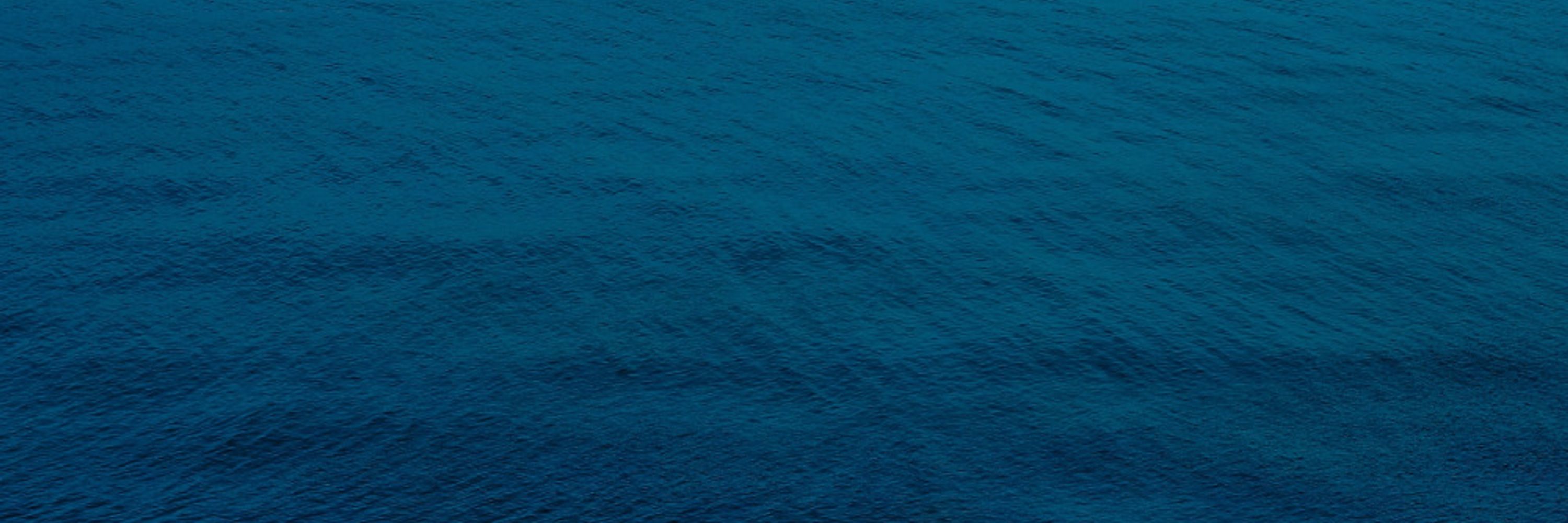 🌊tintahal🦑