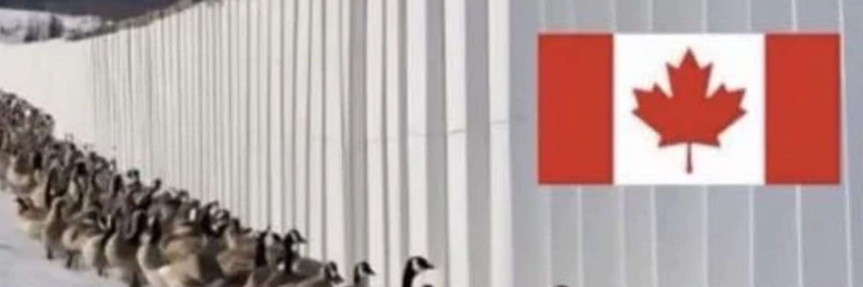 υɘiʜtɒM