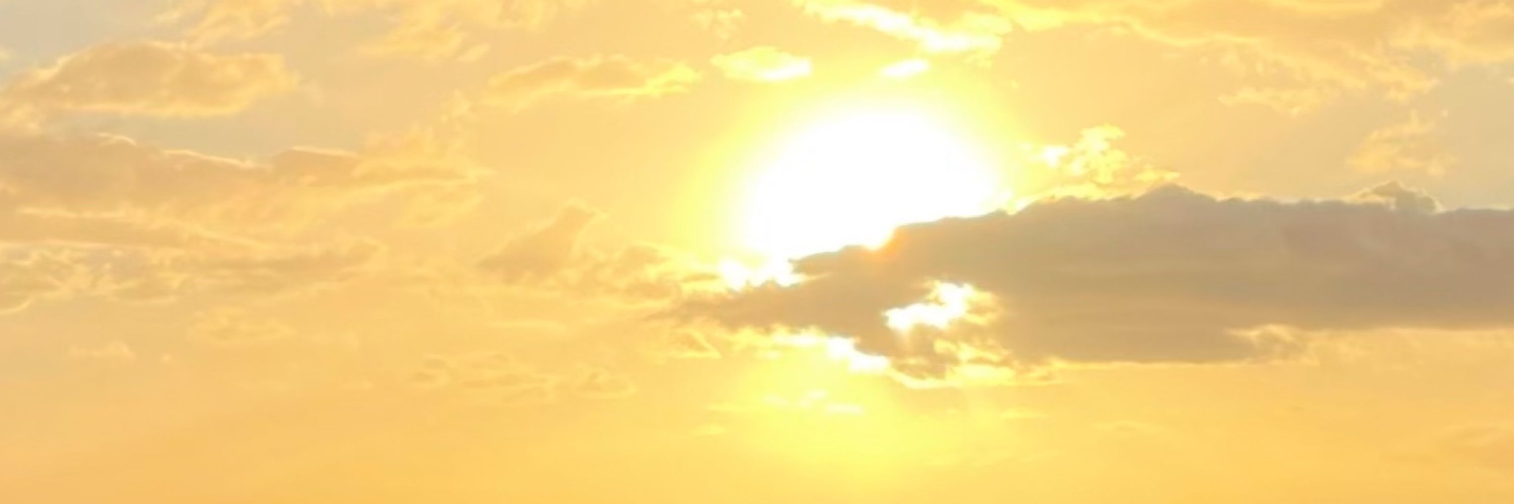 Sunshine