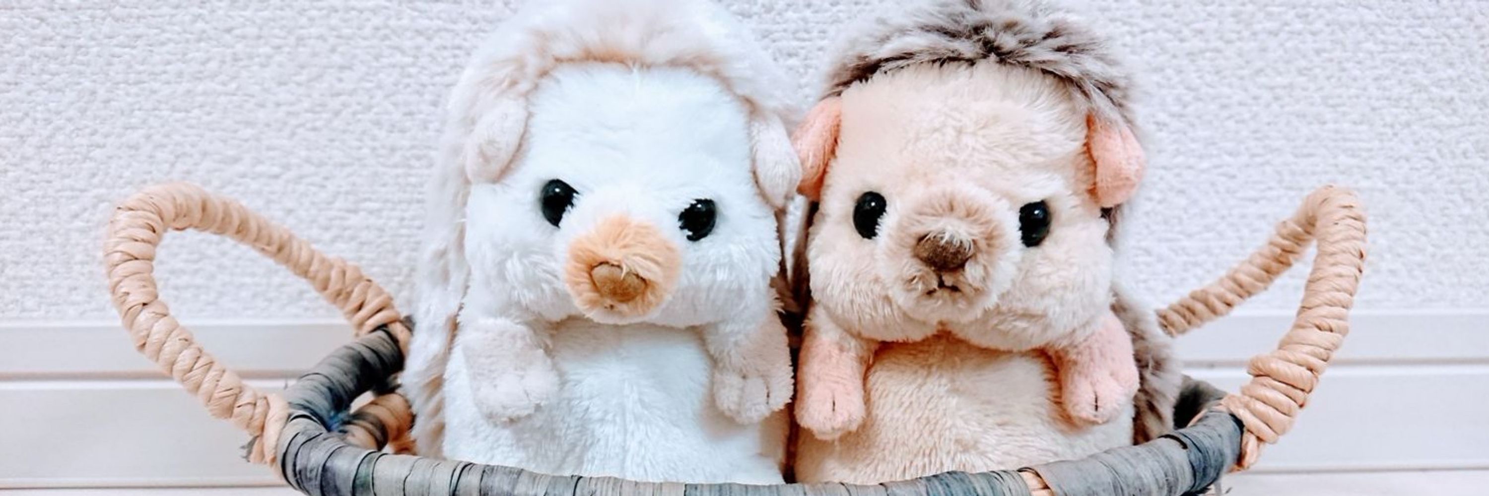 ひらぁ🦔⸒⸒