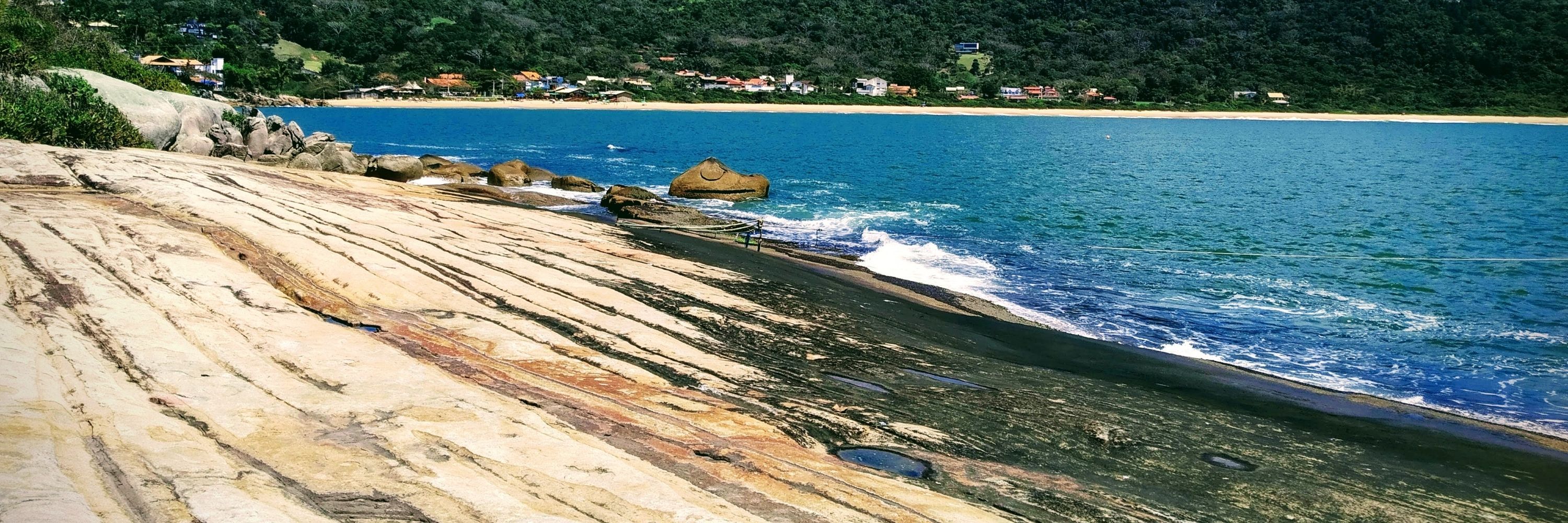 ÔFlaVio