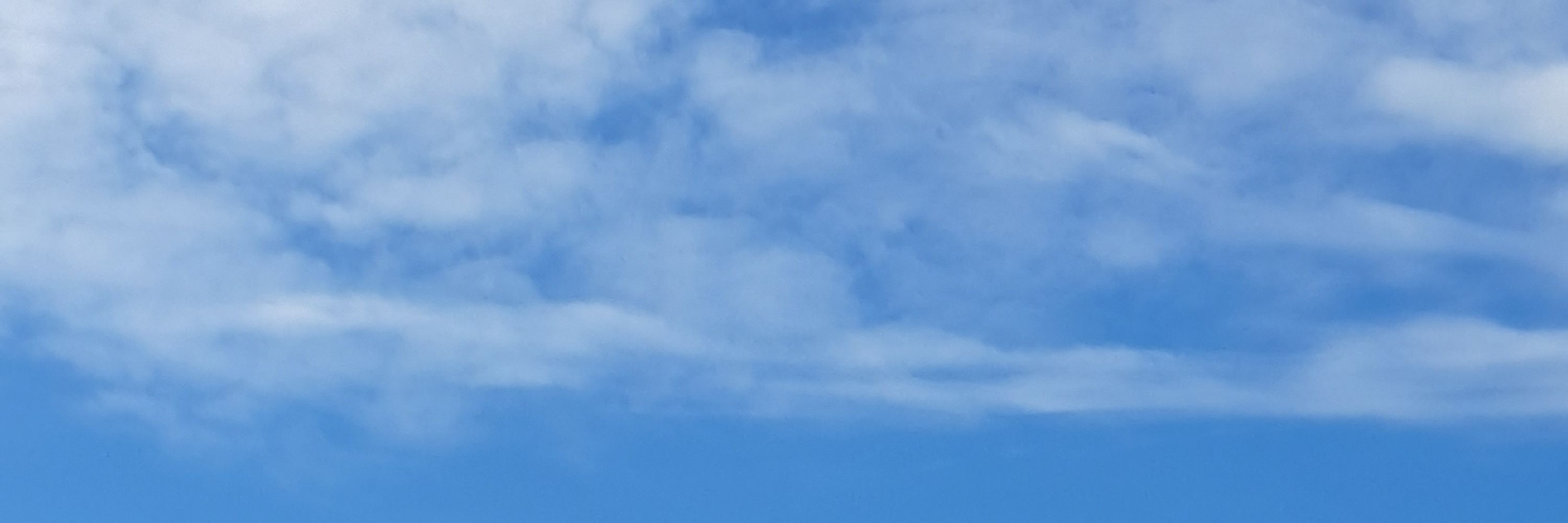 دل‌میم