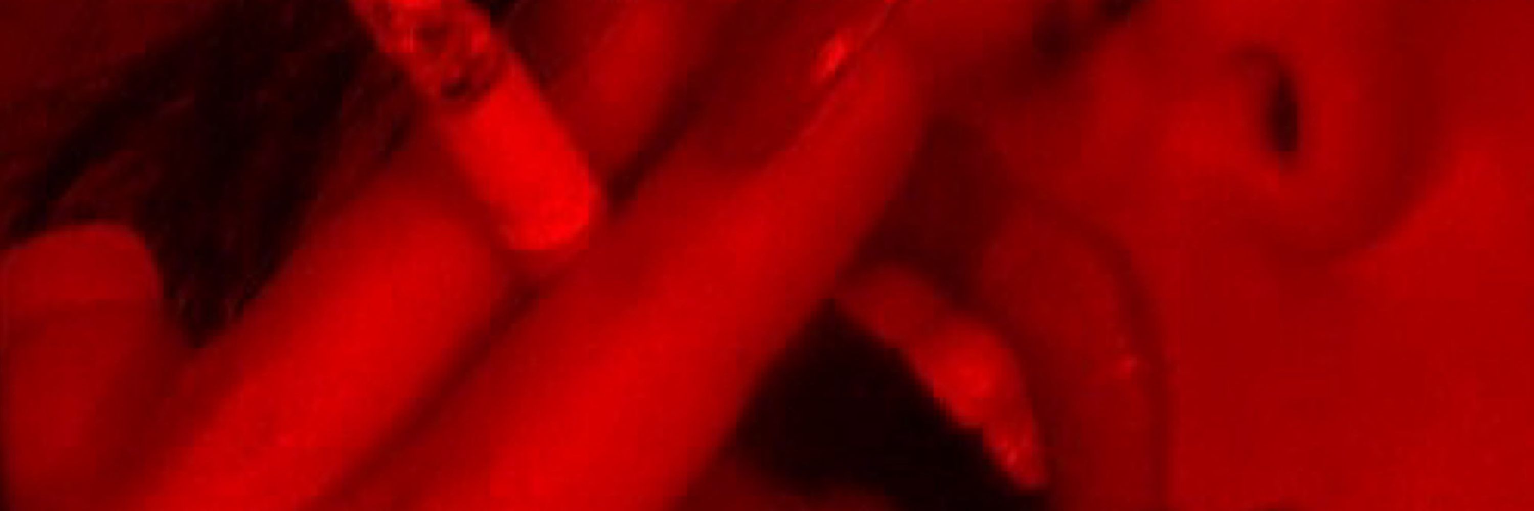 𝑠𝑒𝑑𝑢𝑐𝑡𝑖𝑜𝑛𝑠| +18