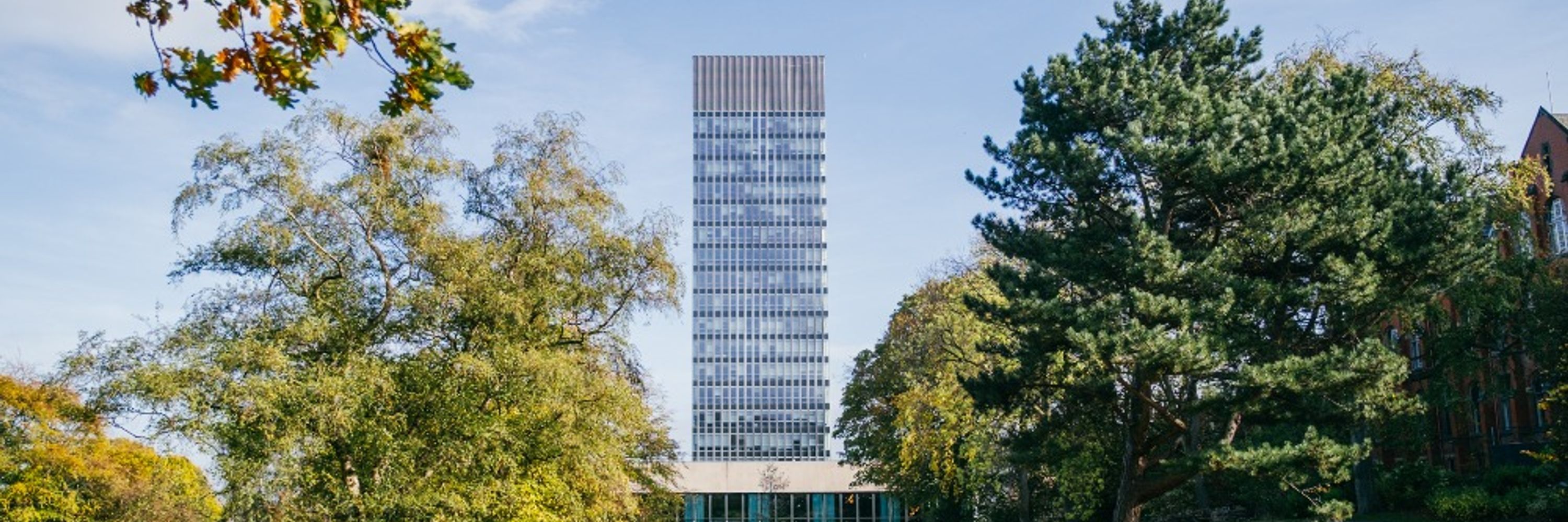 The University of Sheffield