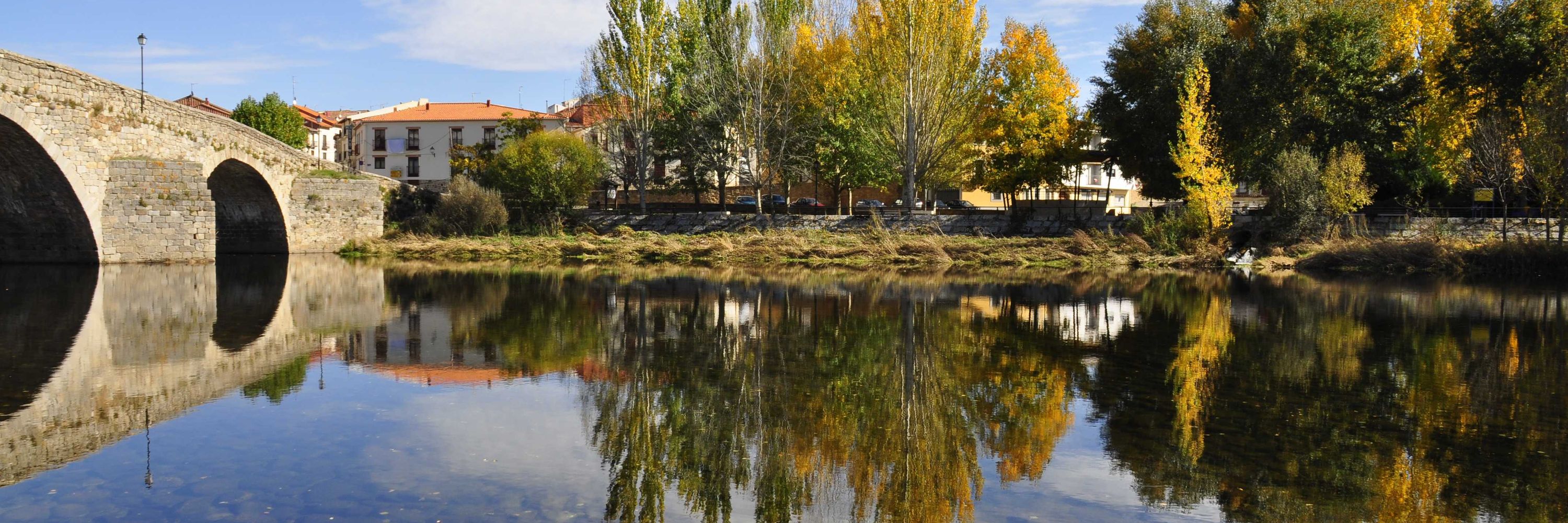 Iberian Group of Urban Ecology
