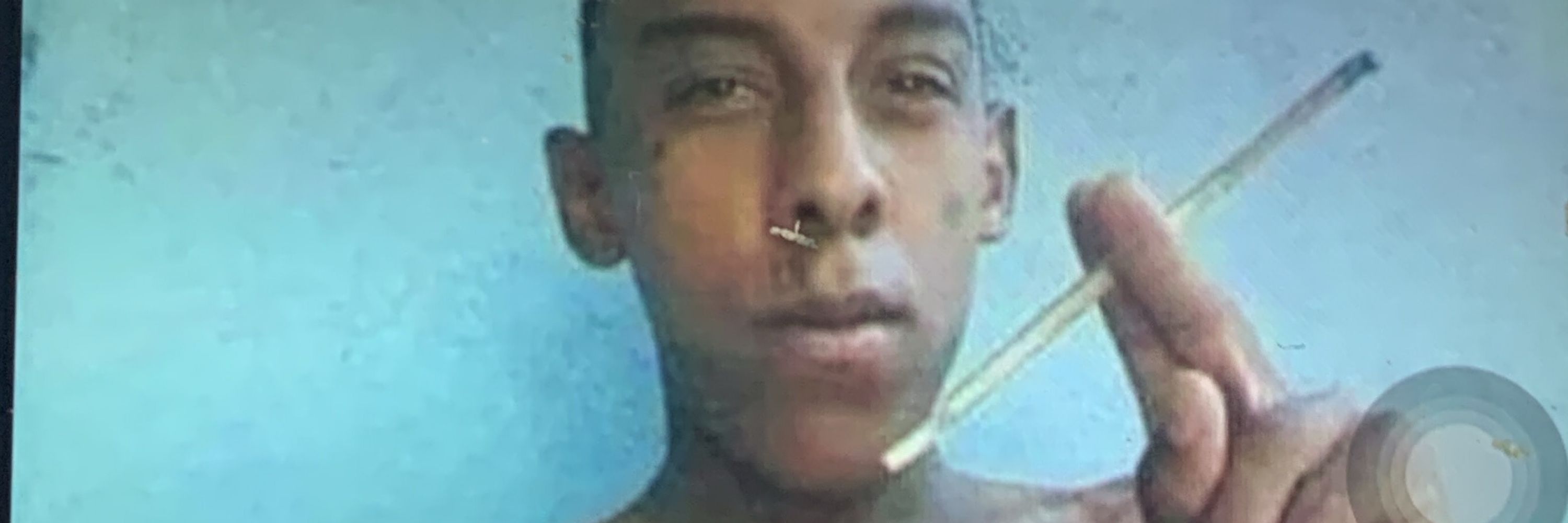 Sasabris