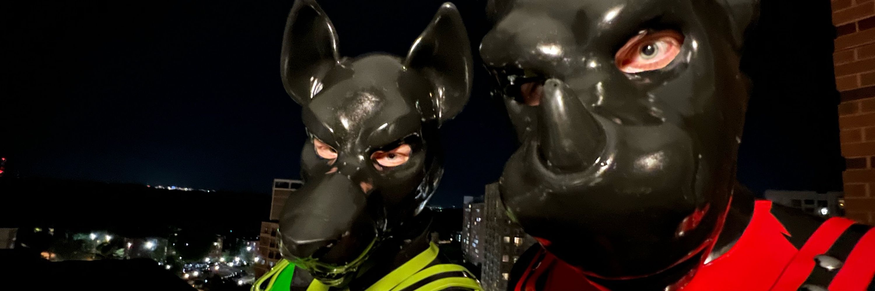 Pup Sollux 🐾