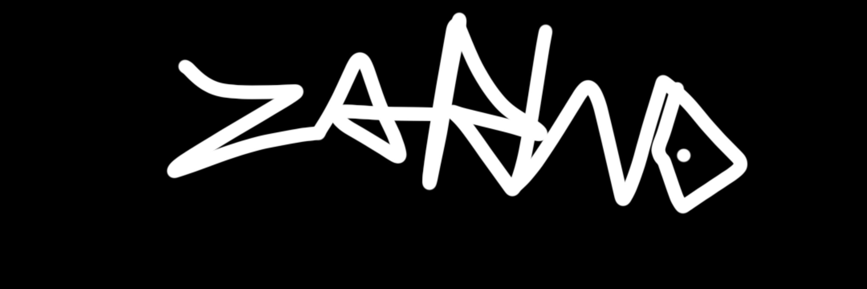 Zarino numetal noise rock da Silva