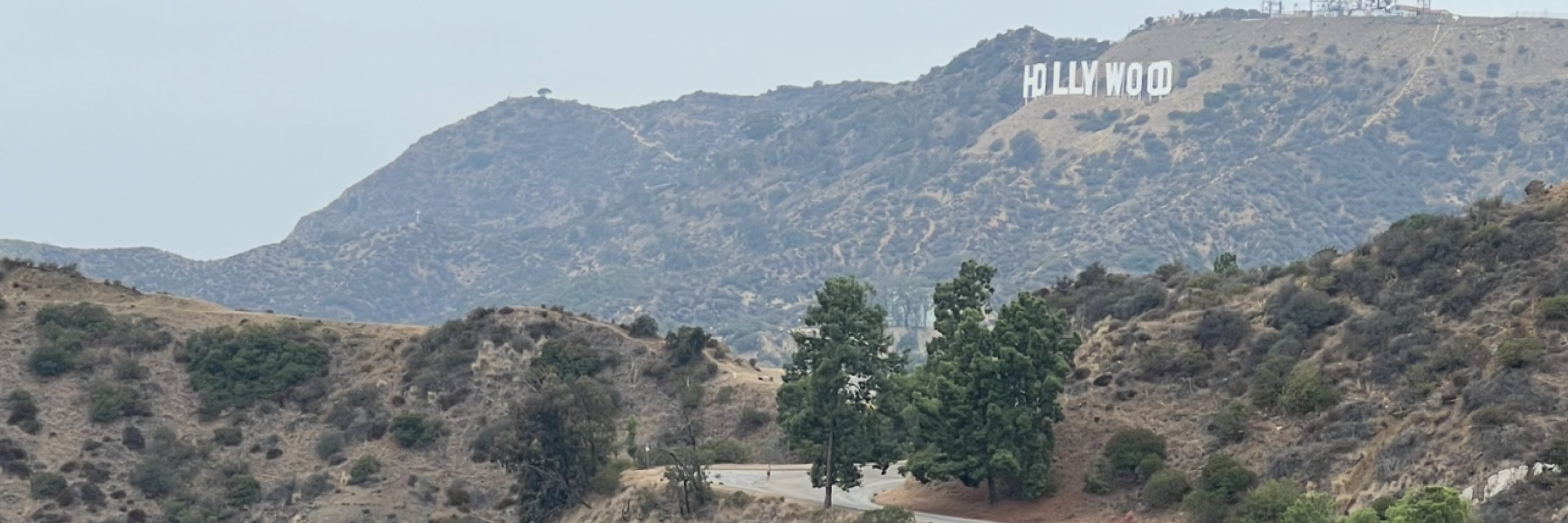 Caligal28