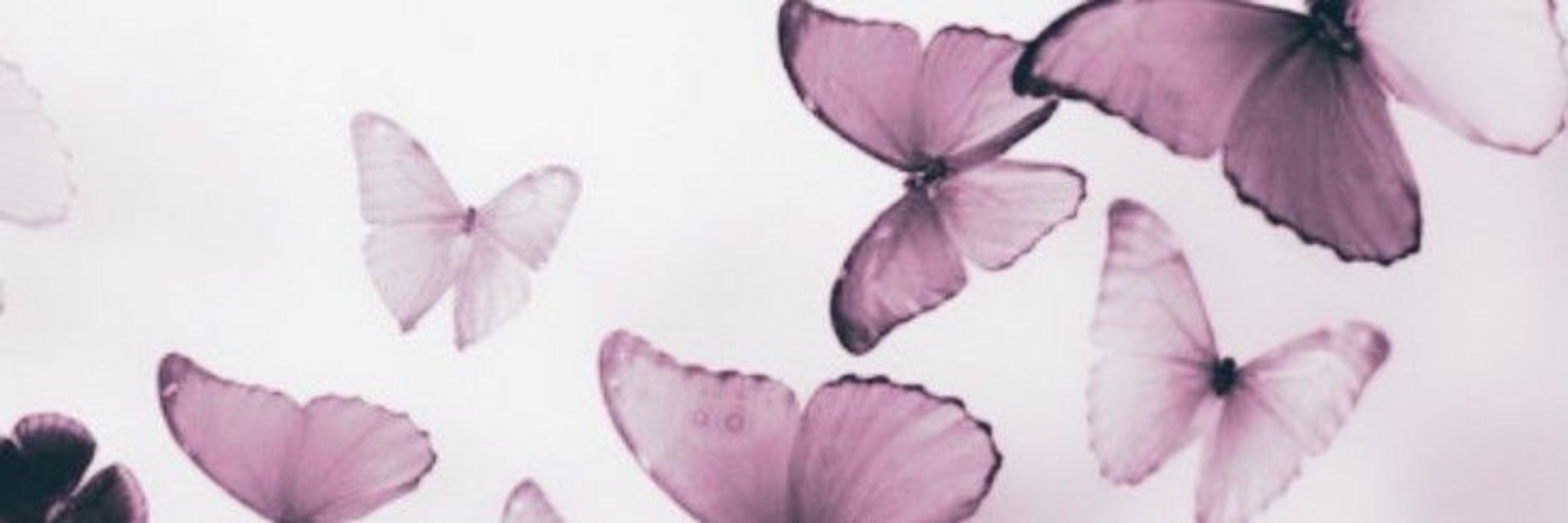 Lih 🦋