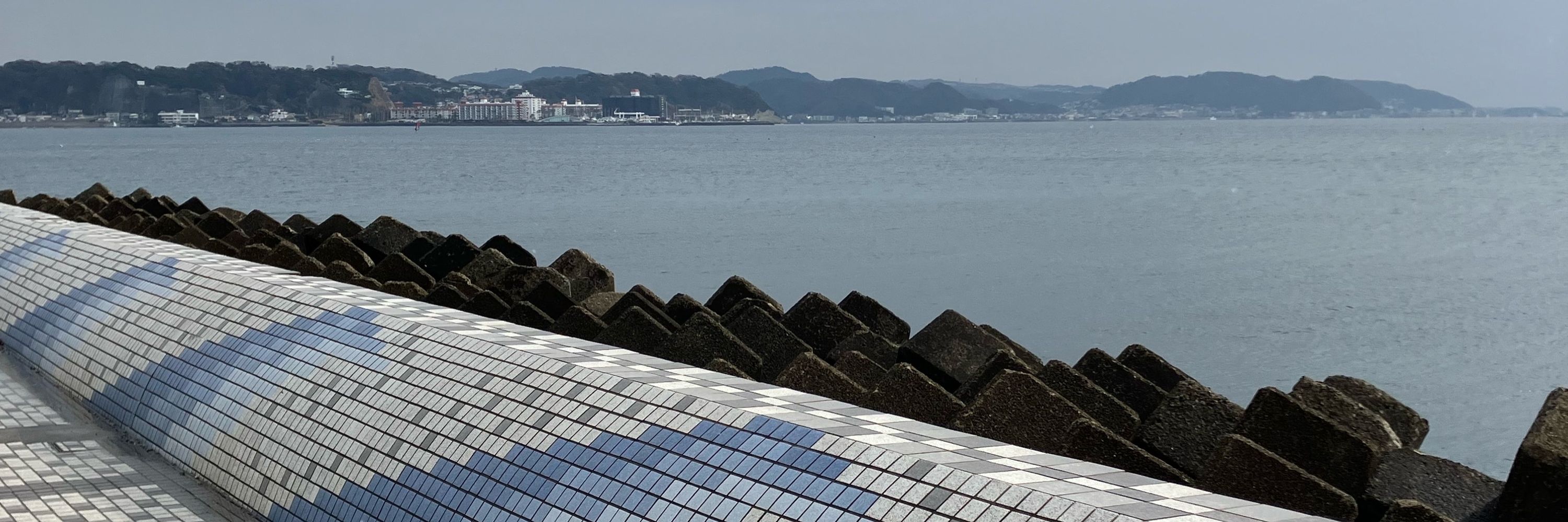 もいこ