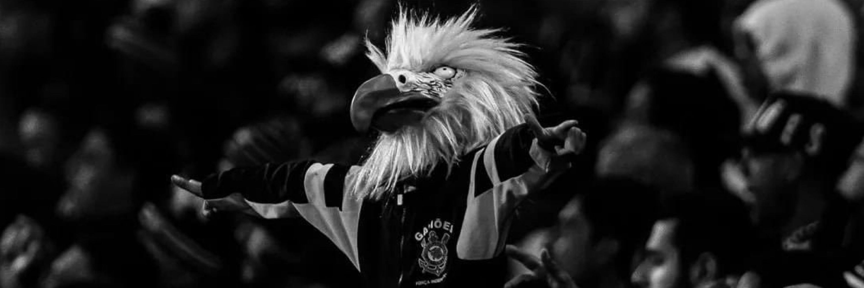 Davi de Sá 🦅