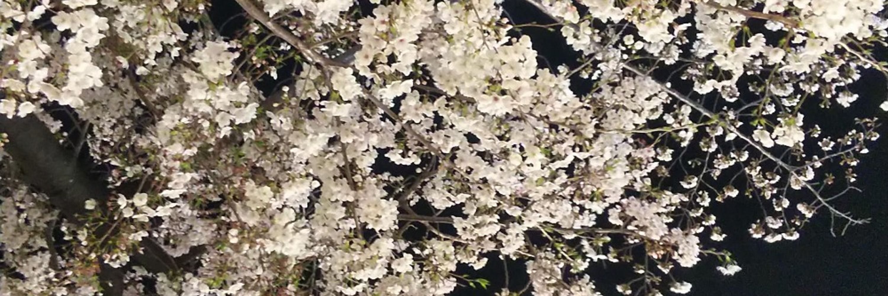 えも