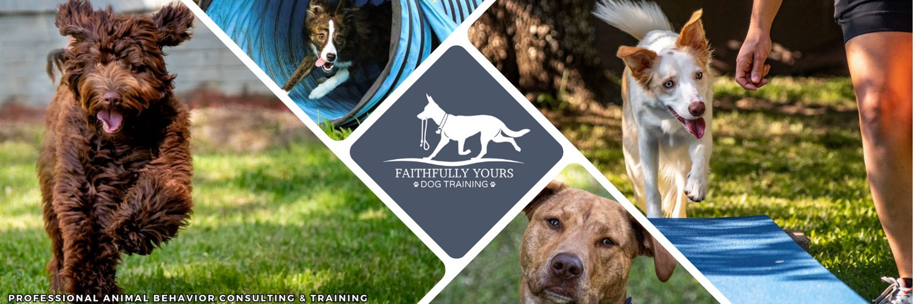 Faithfully Yours Dog Training