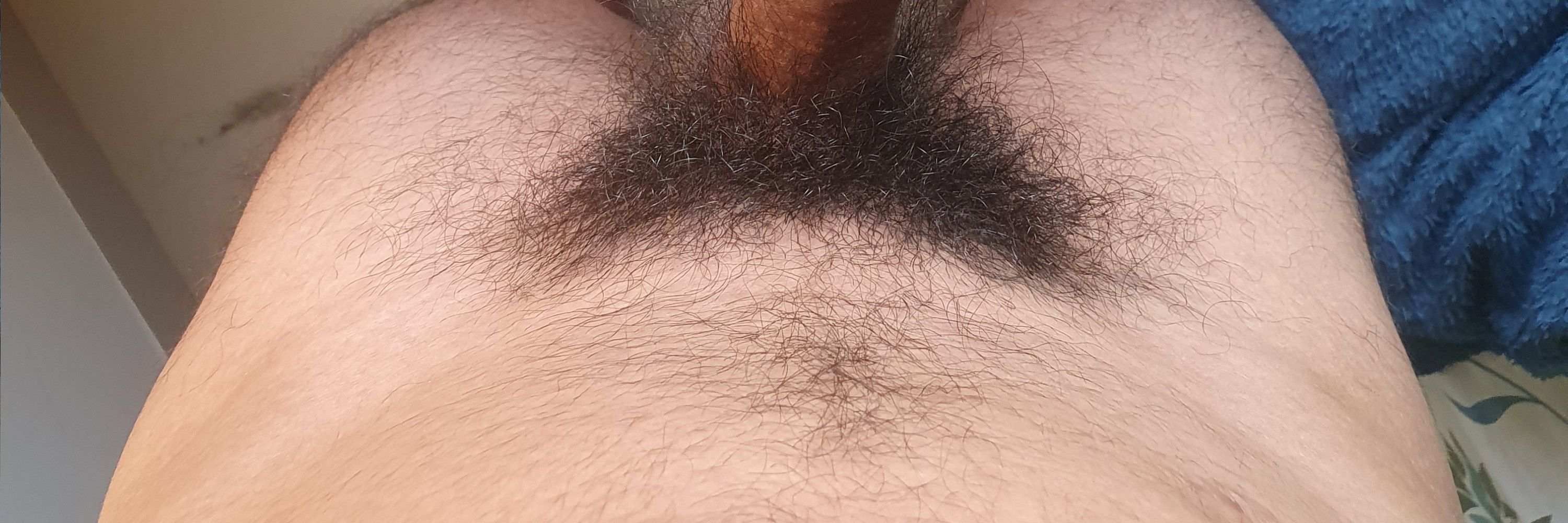 Macho Punheteiro