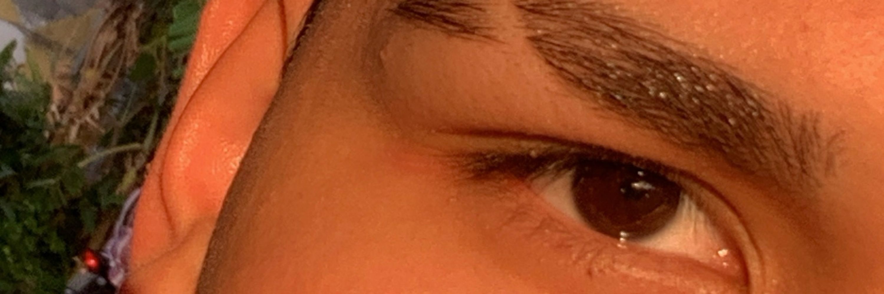 vini
