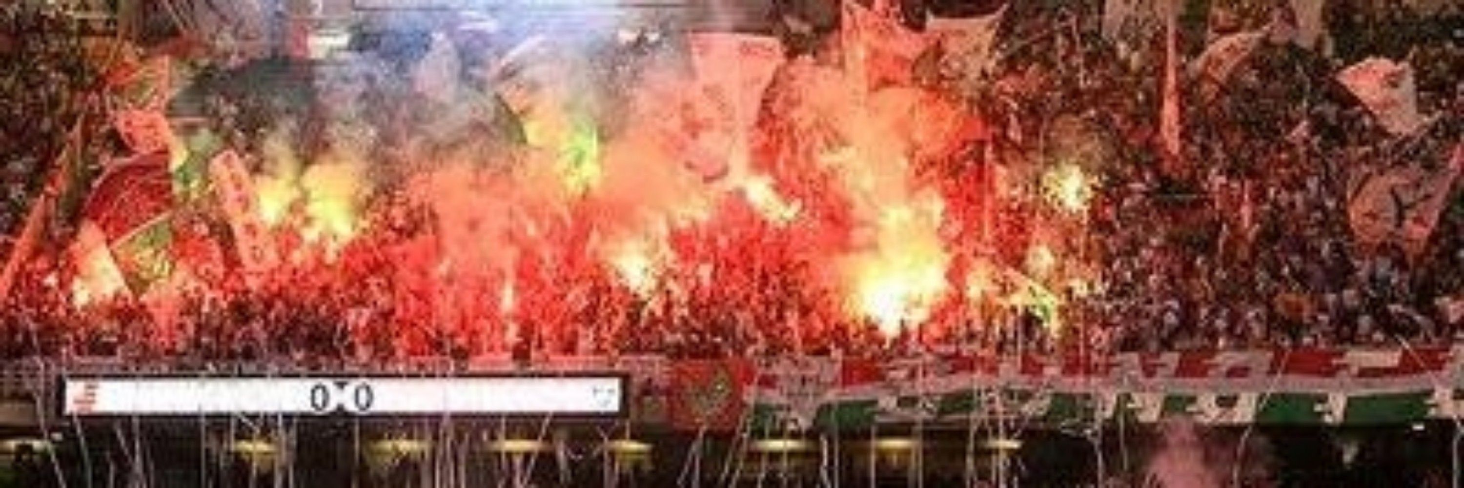 Lipe ffc