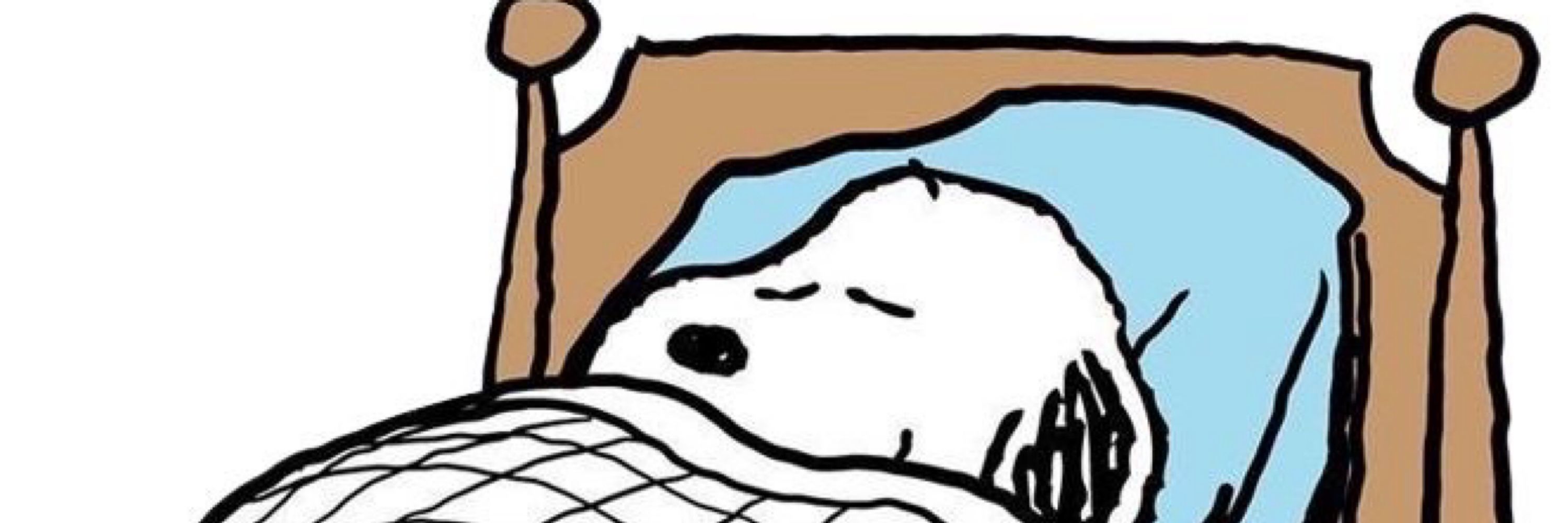 Puppy ૮ • ﻌ • ྀིა