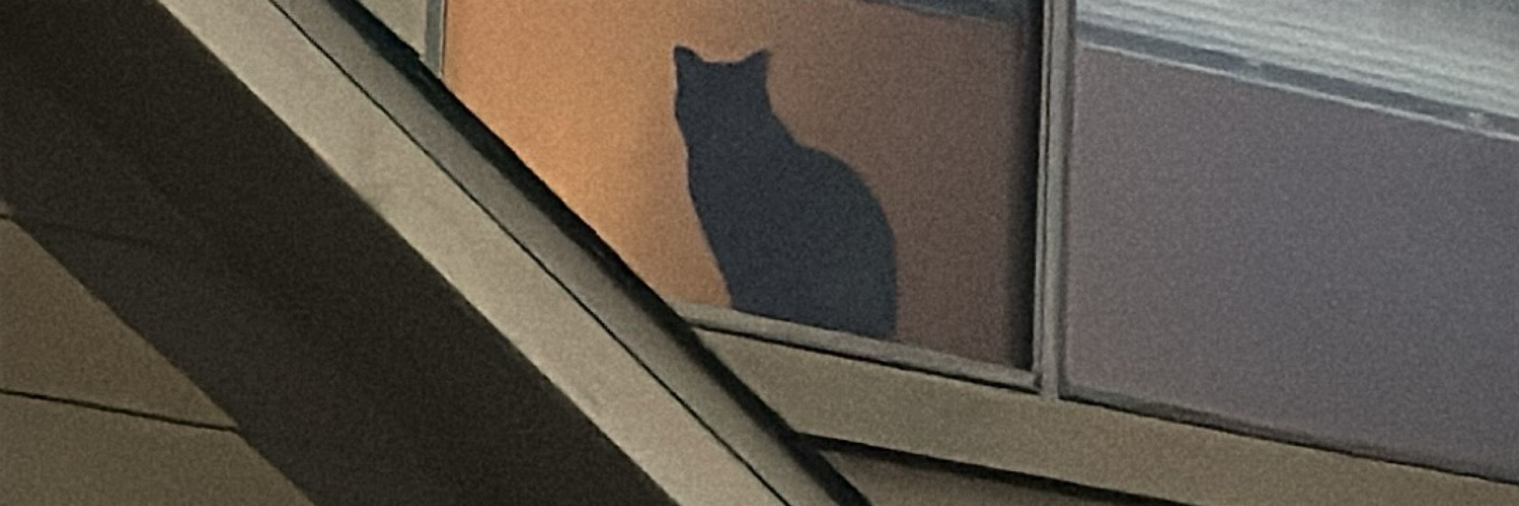 Moth™️