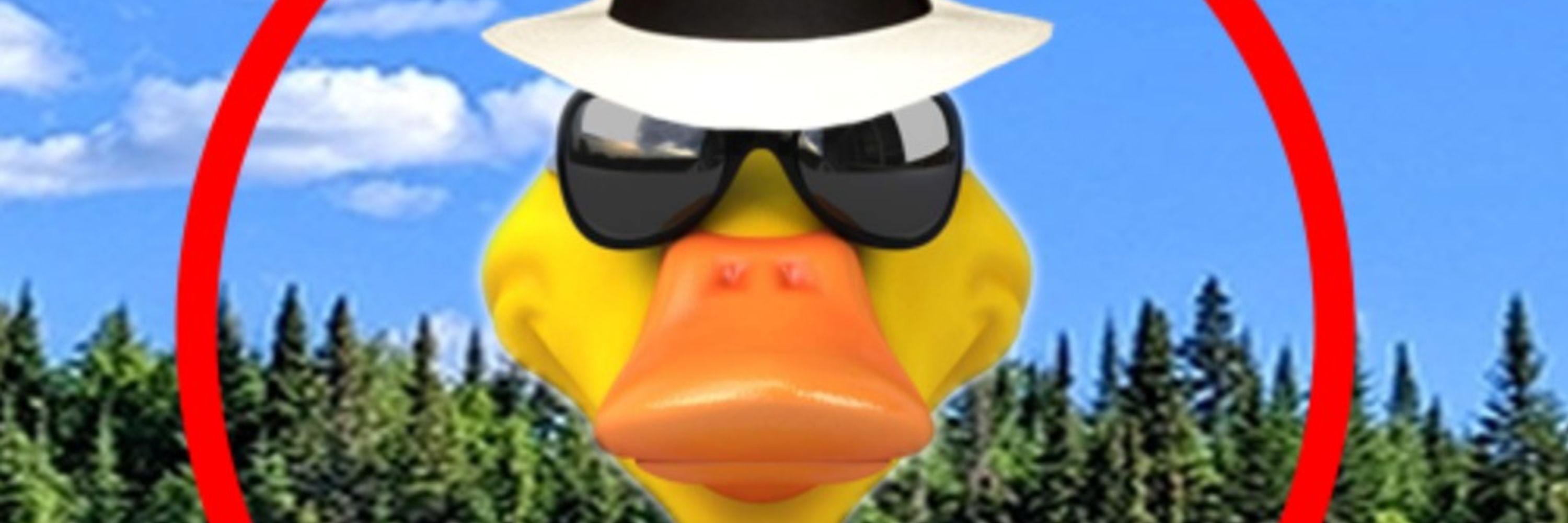 DuckterStRm