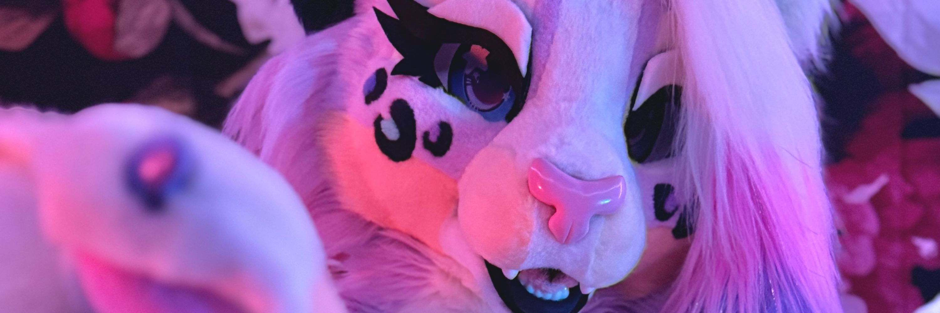 Callie