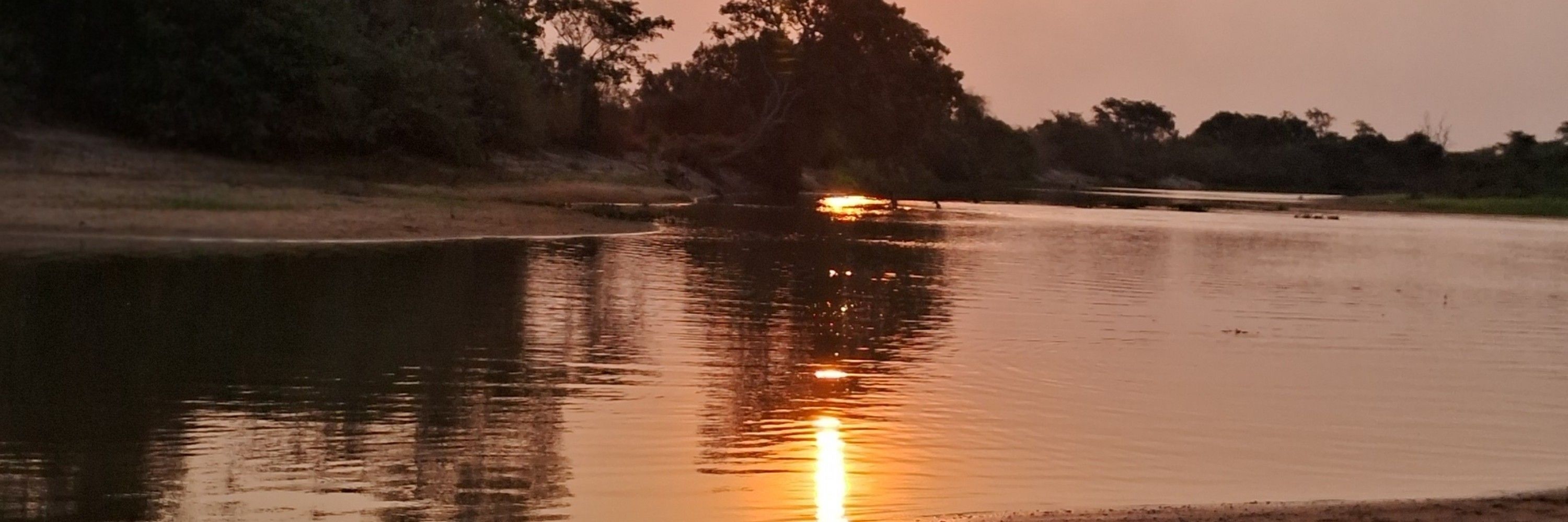 sergiomuriloum