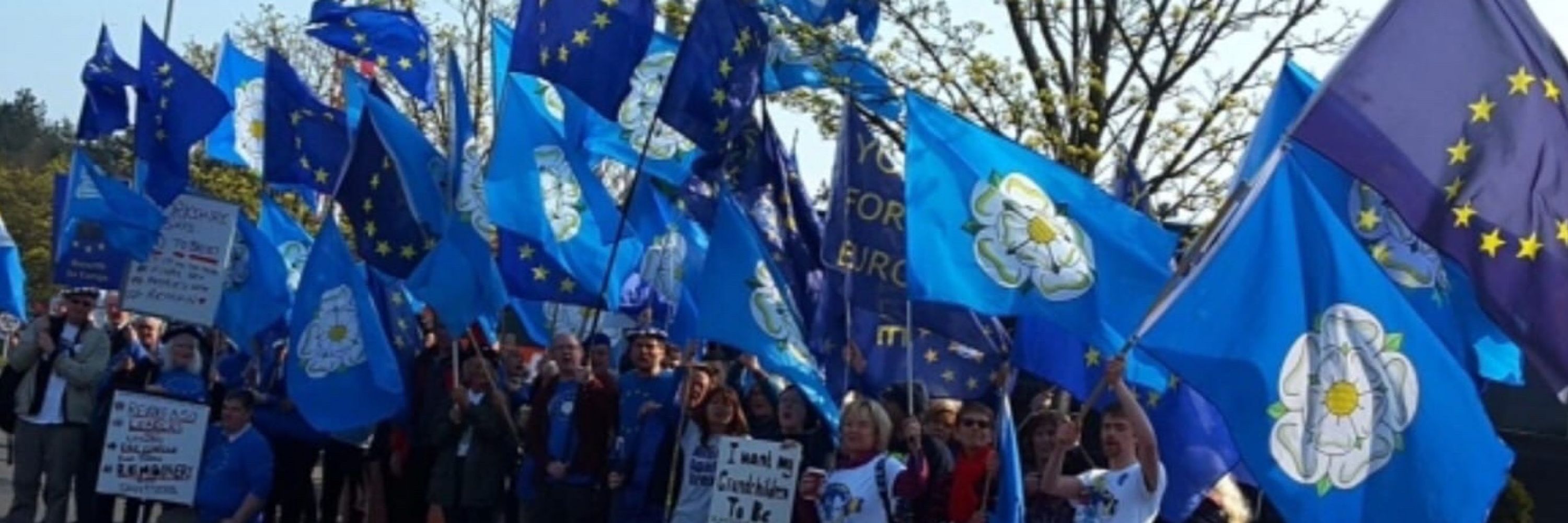 IanCNorthYorks  #FBPE