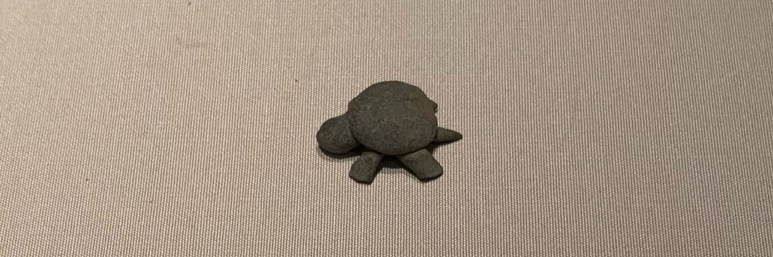 しゃお