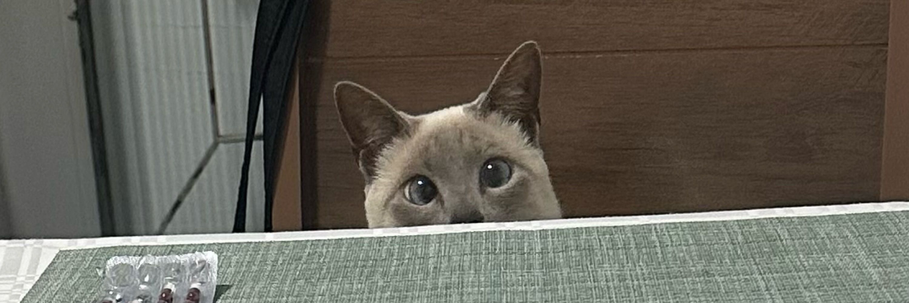 tonha da lua