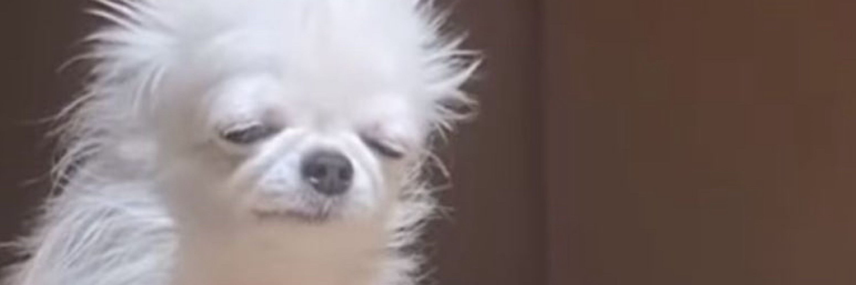 대식