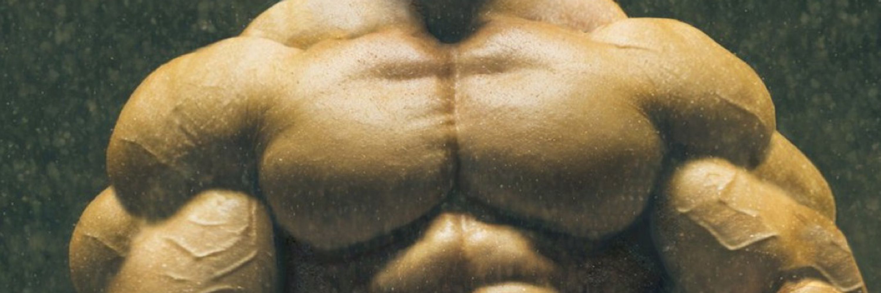 Roided Muscle monsters.