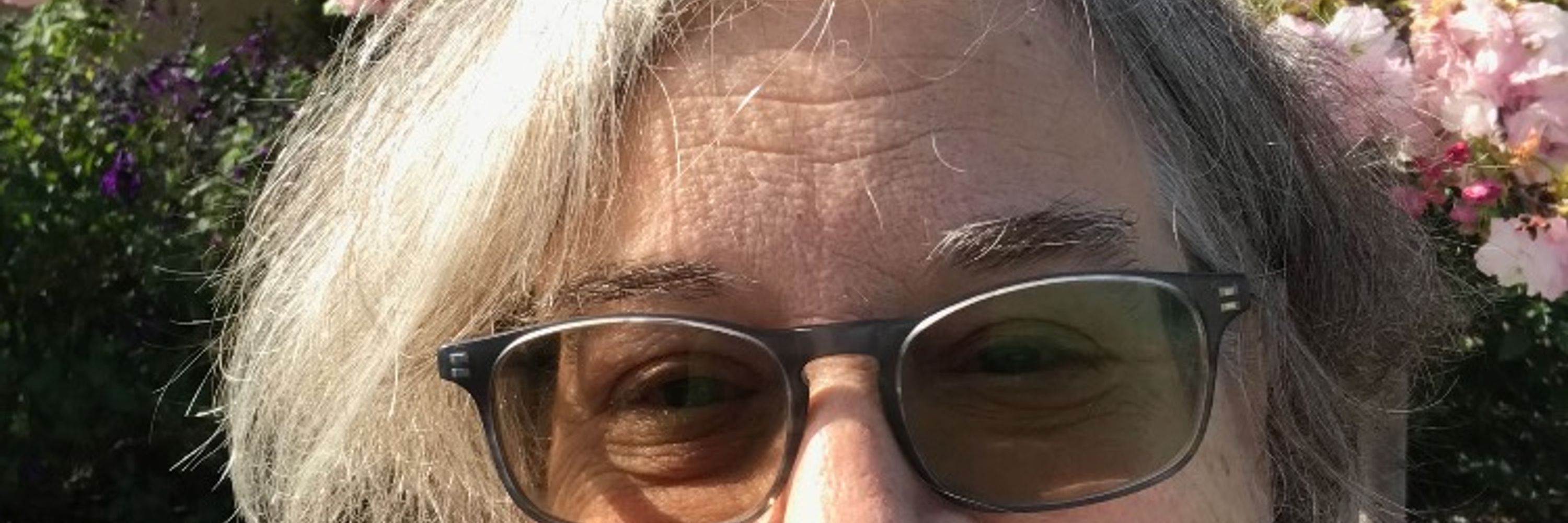 Carol Dorf