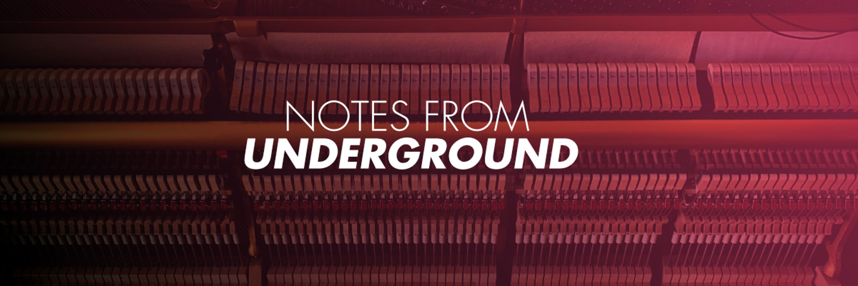 Notes from Underground