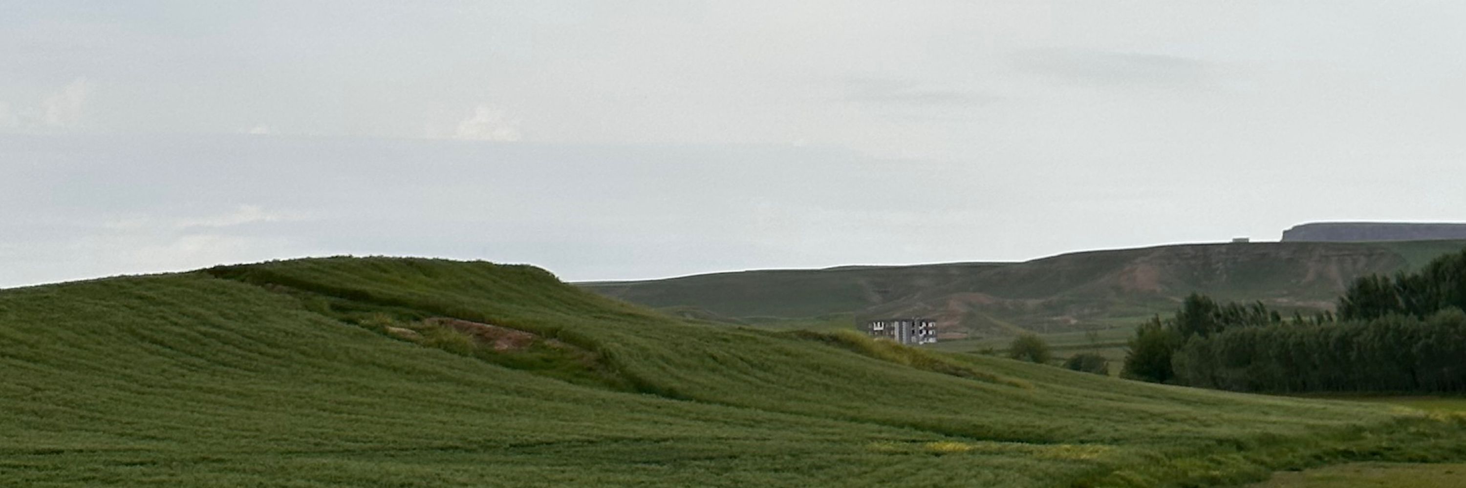 Yalcinari