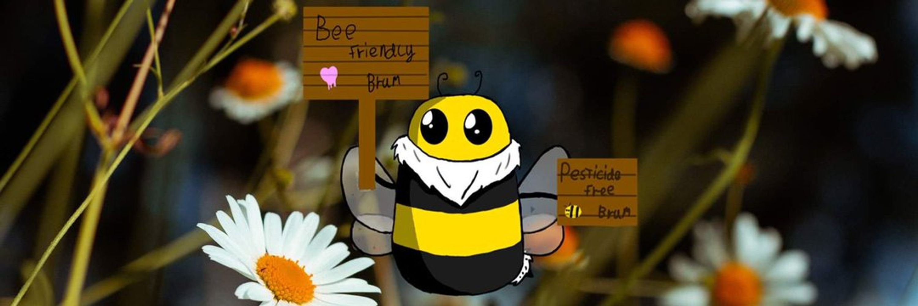 Bee Friendly Brum