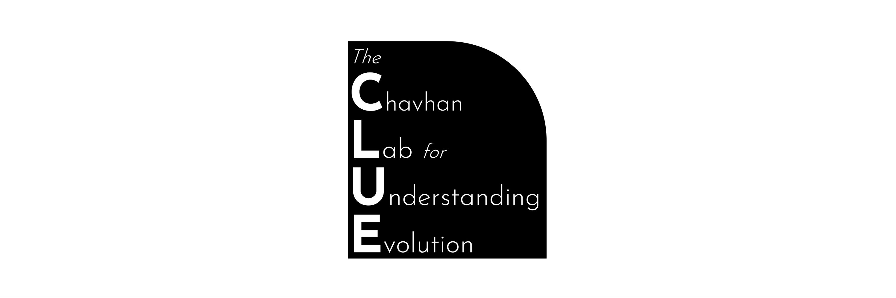 Yashraj Chavhan