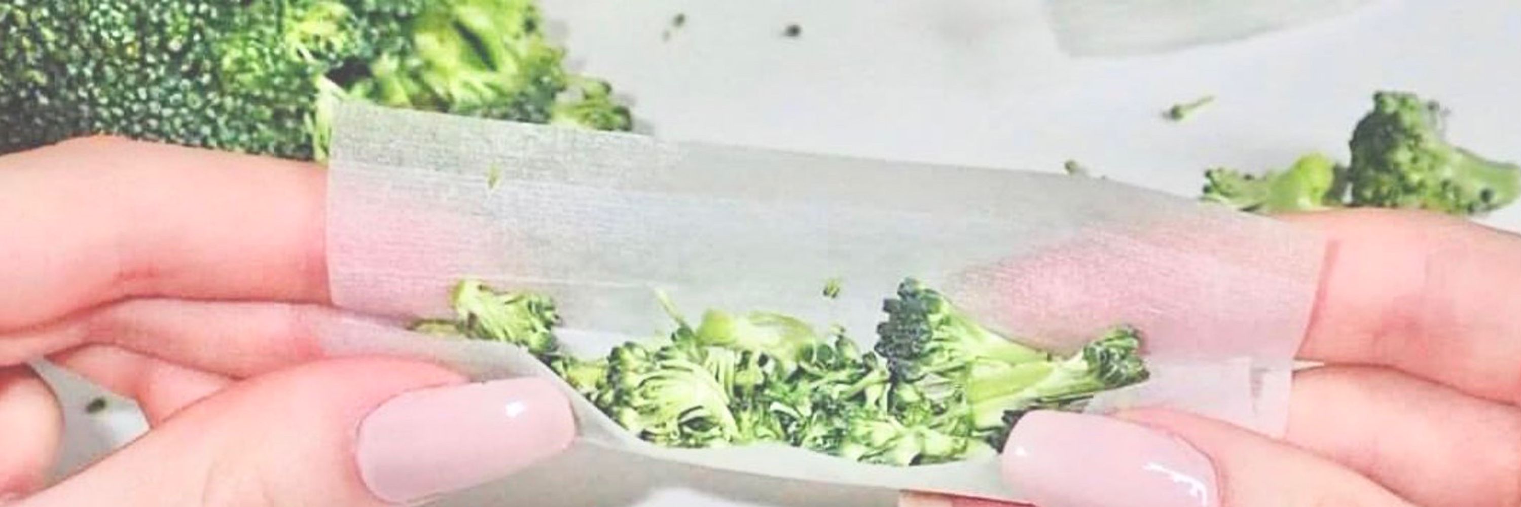 🧸星🥦🇨🇦