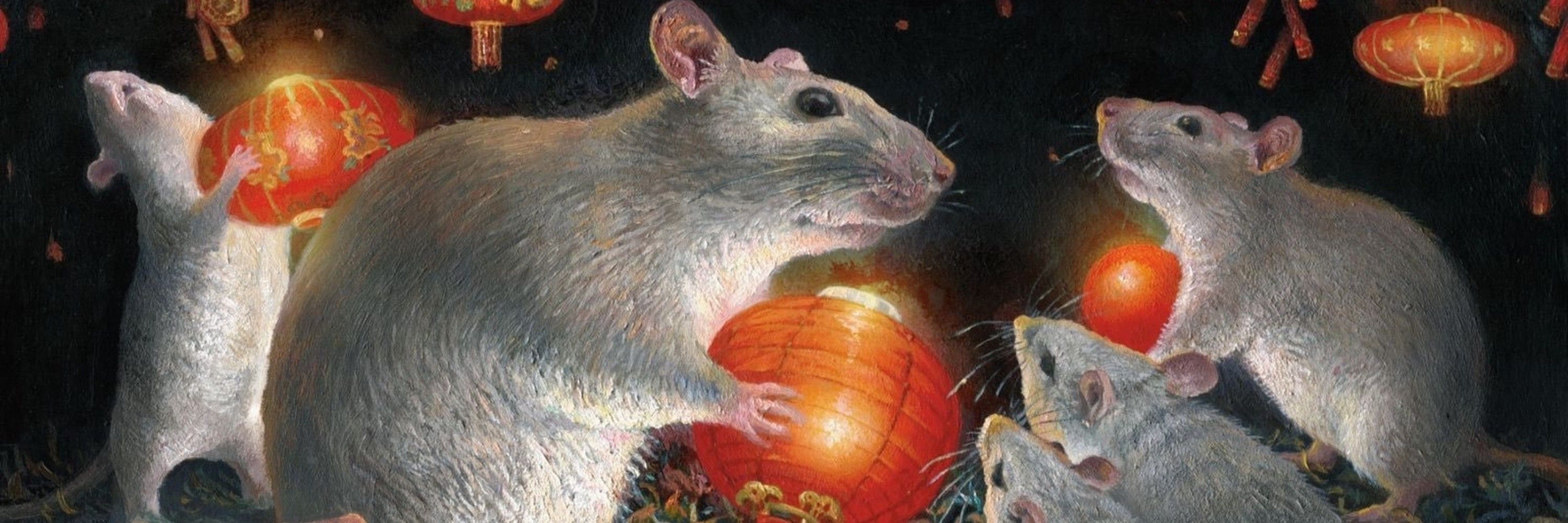 A Big Rat