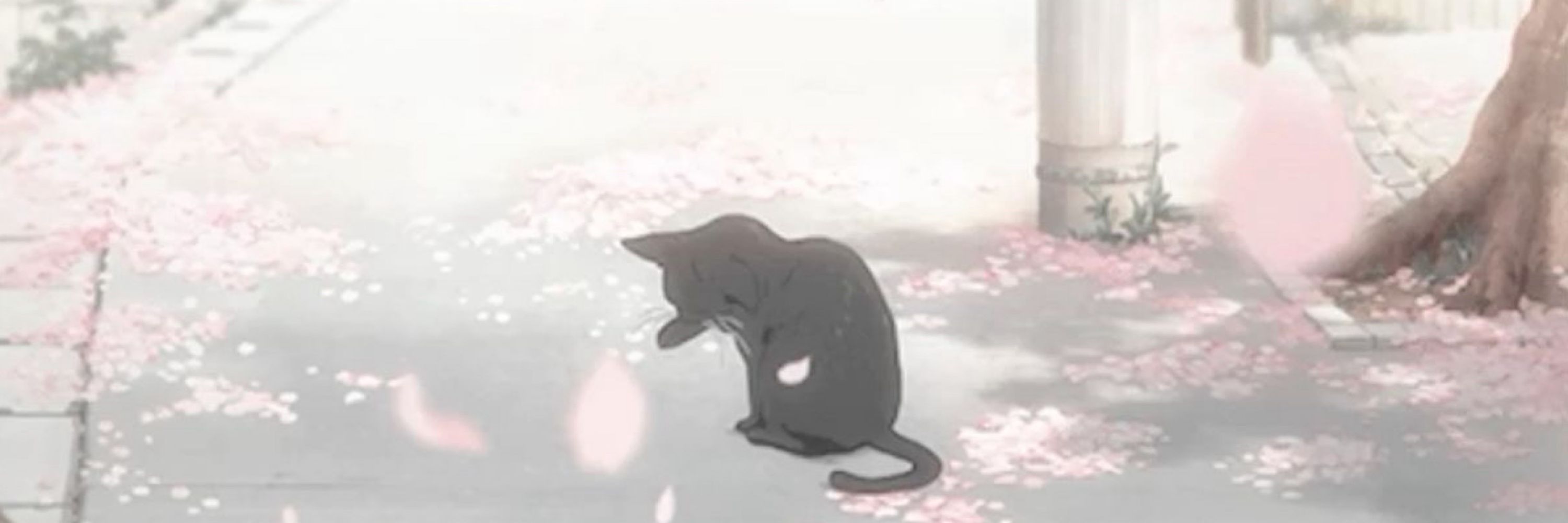 saki