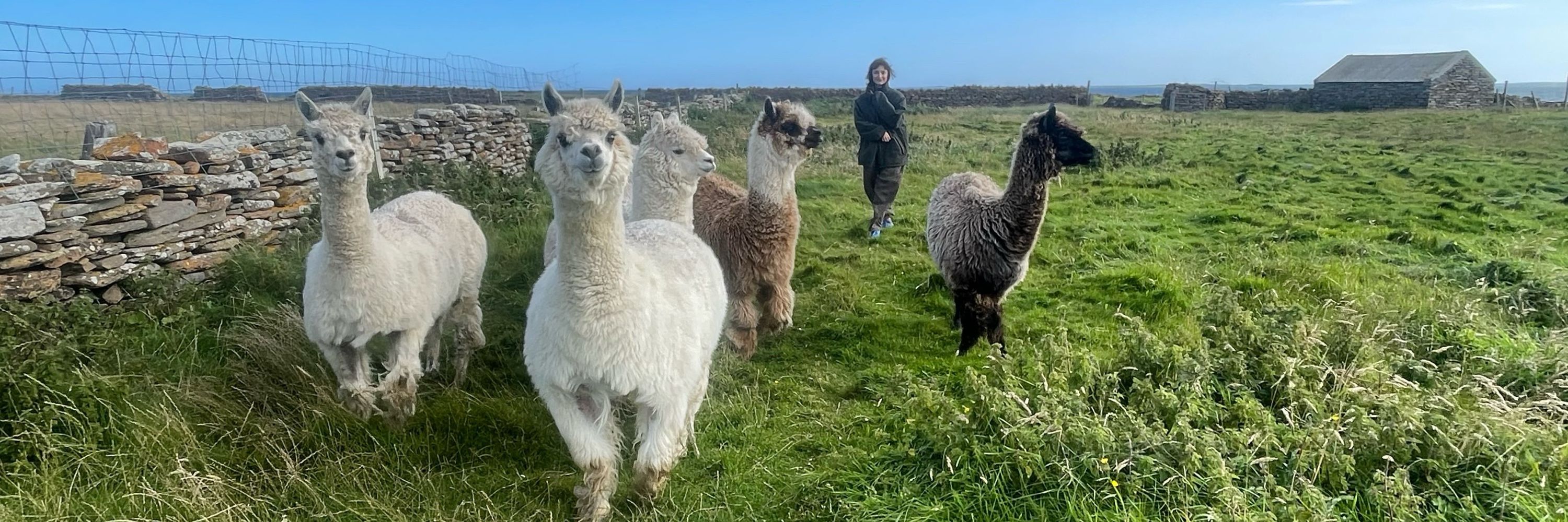 Charlotte Middlehurst