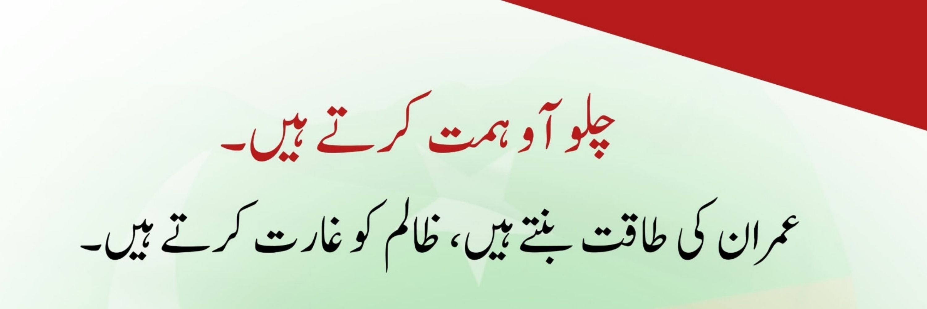 M Rehan