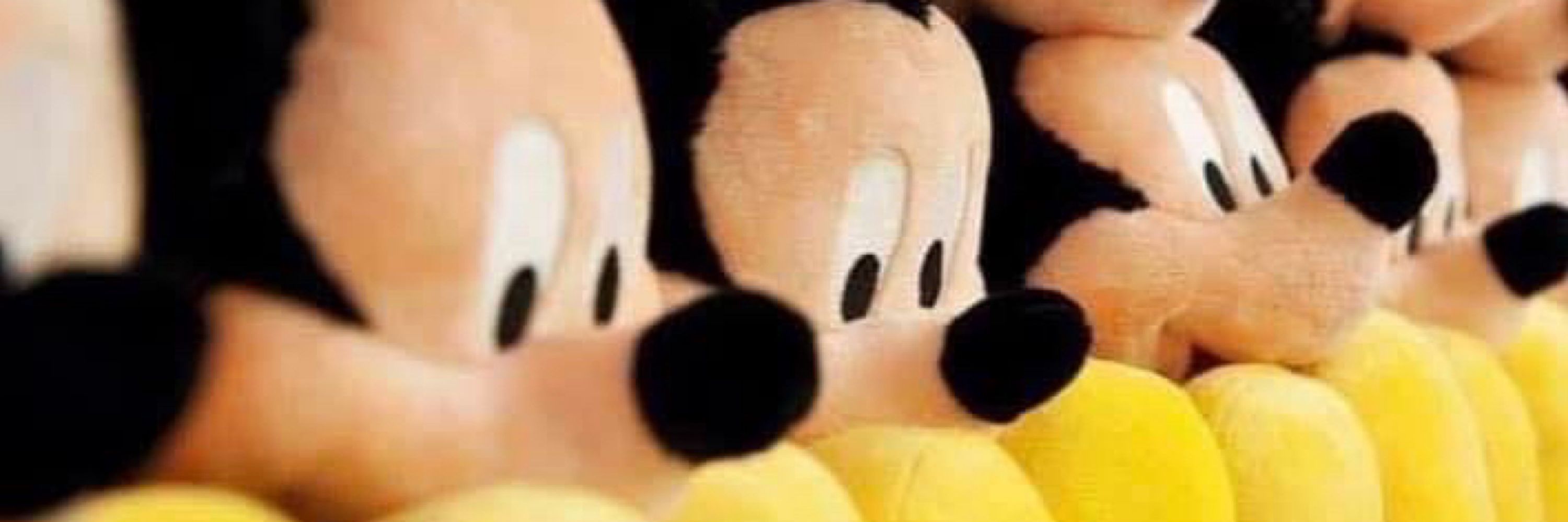 Mickey Boy 