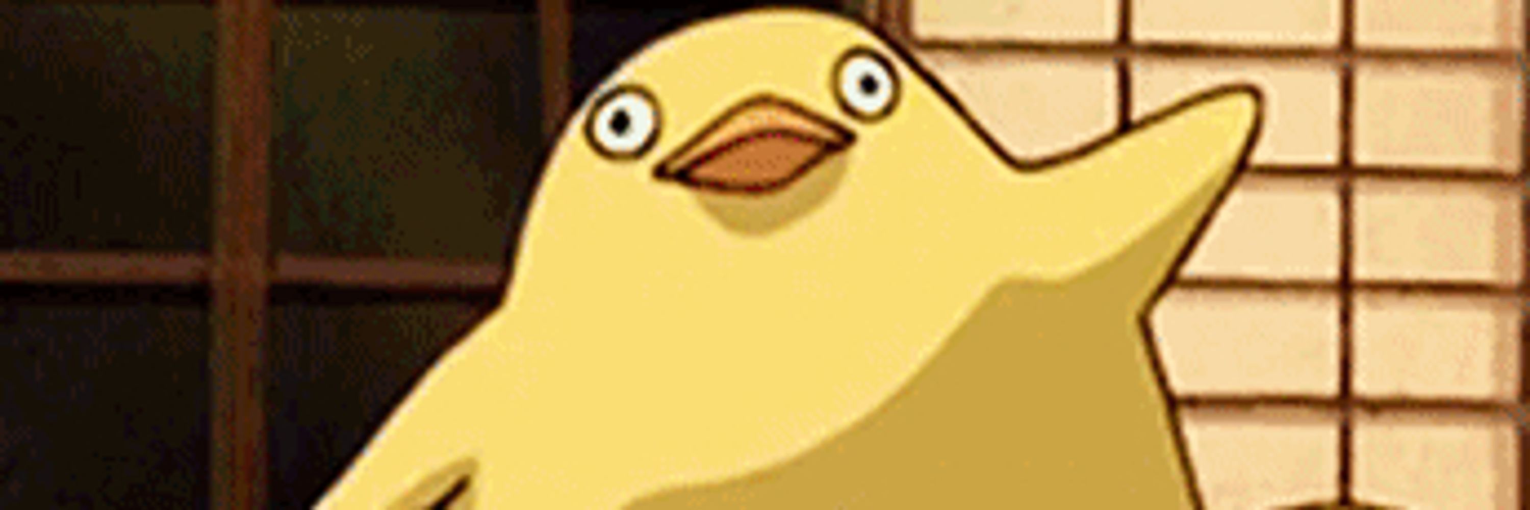 RiseDucky 
