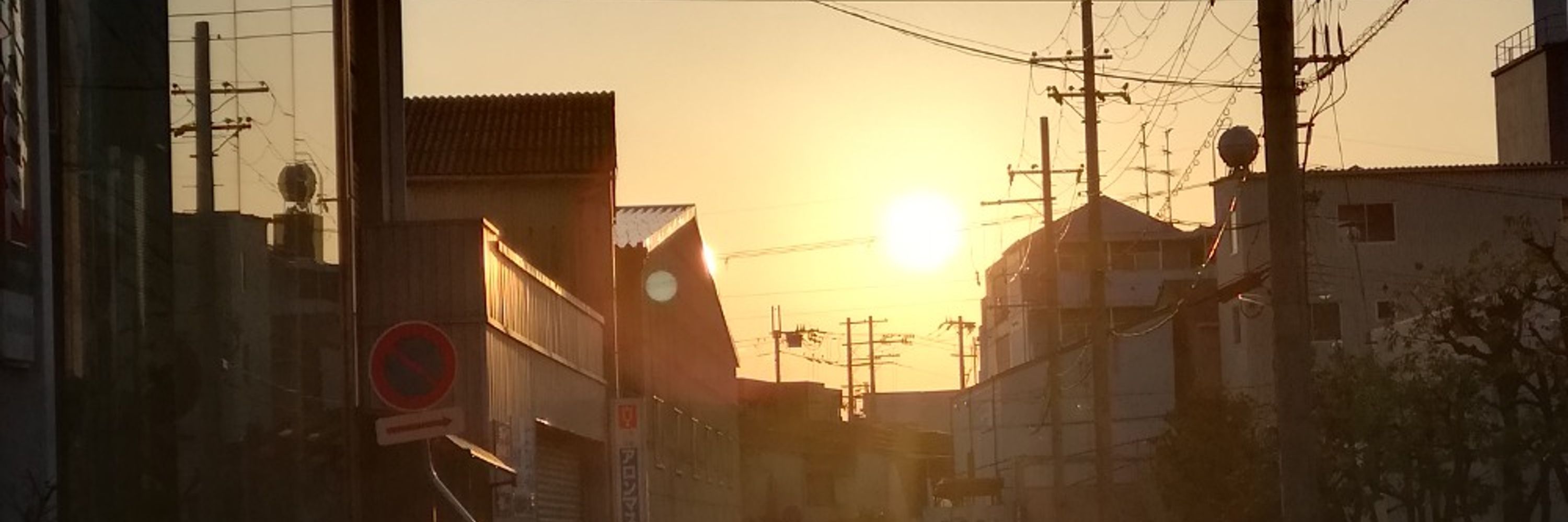小夜鳥