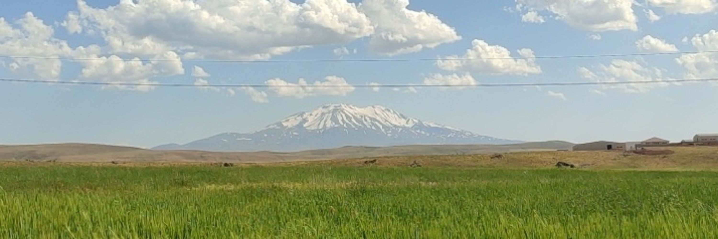 Erhan İşler