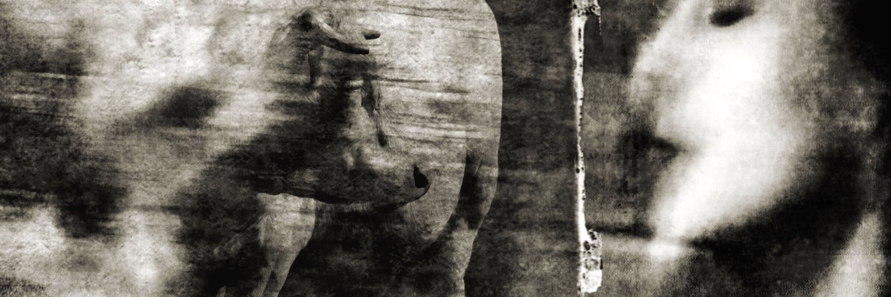Philippe Berthier
