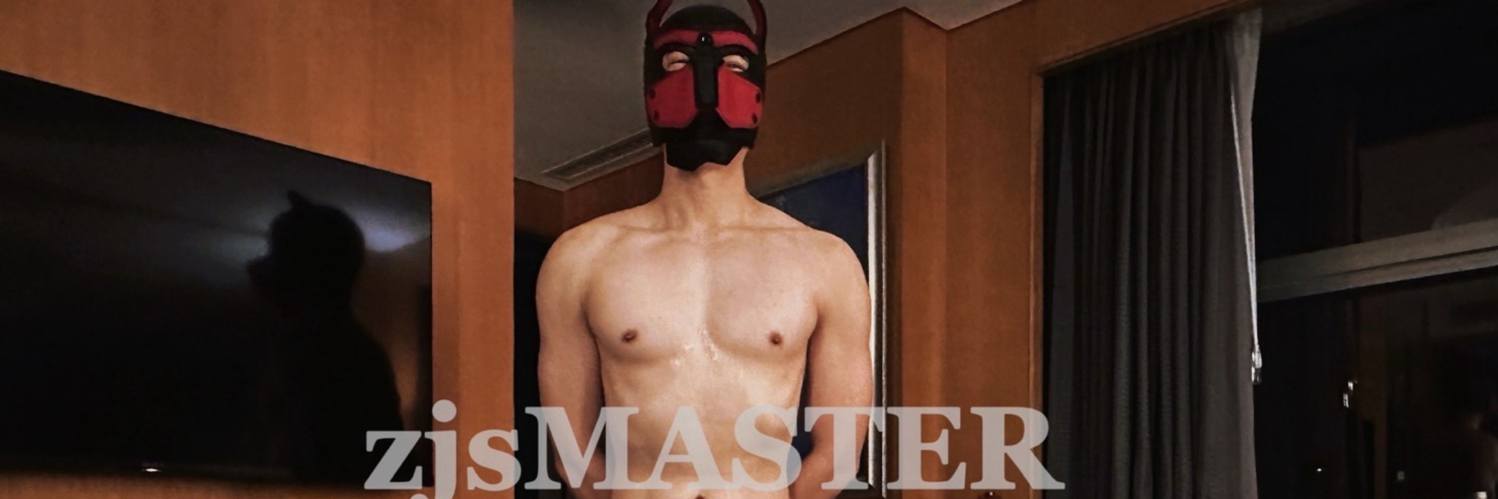 zjsMaster